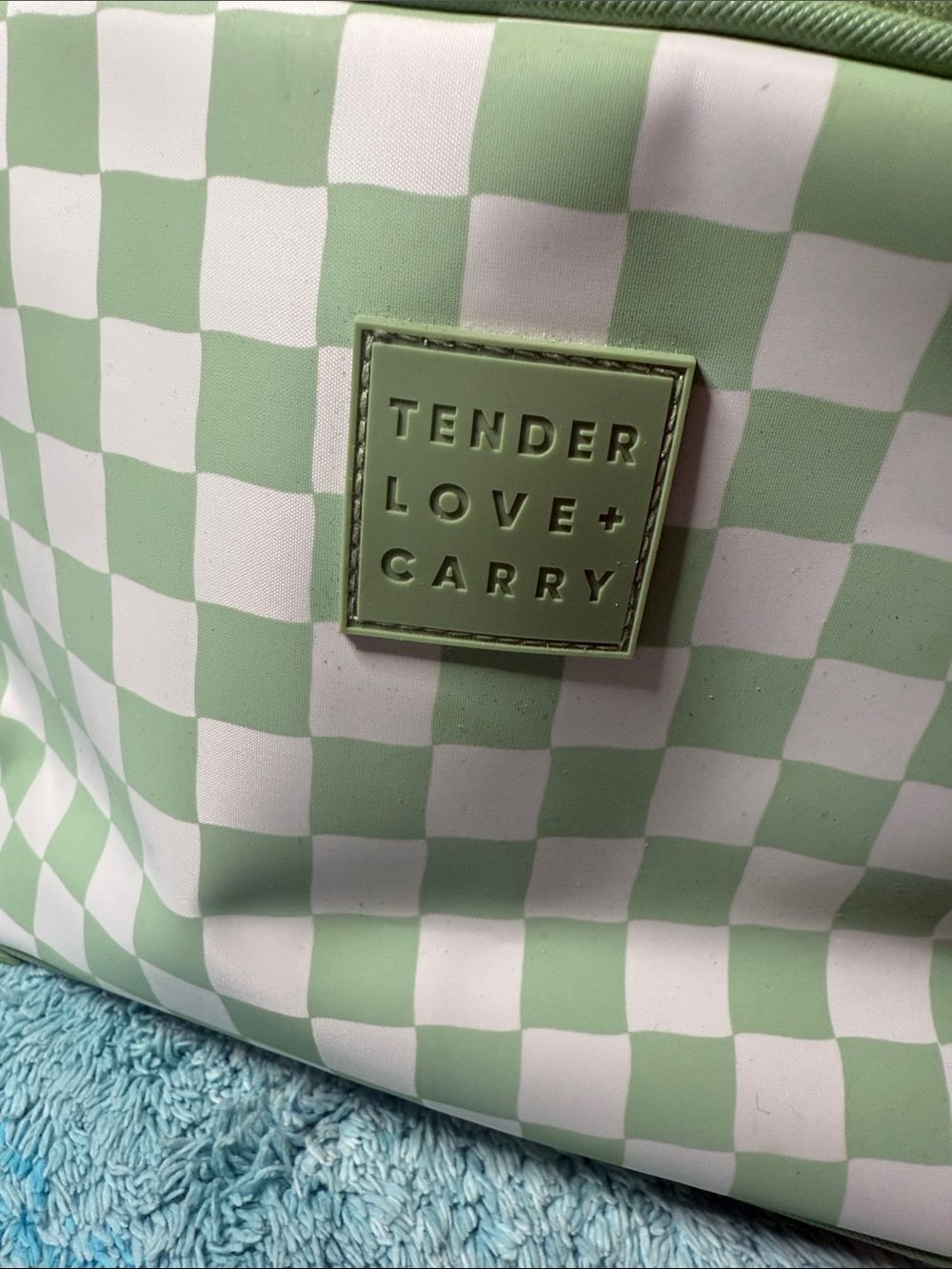Tender Love + Carry Checker Cosmetic Pouch in Mint Green